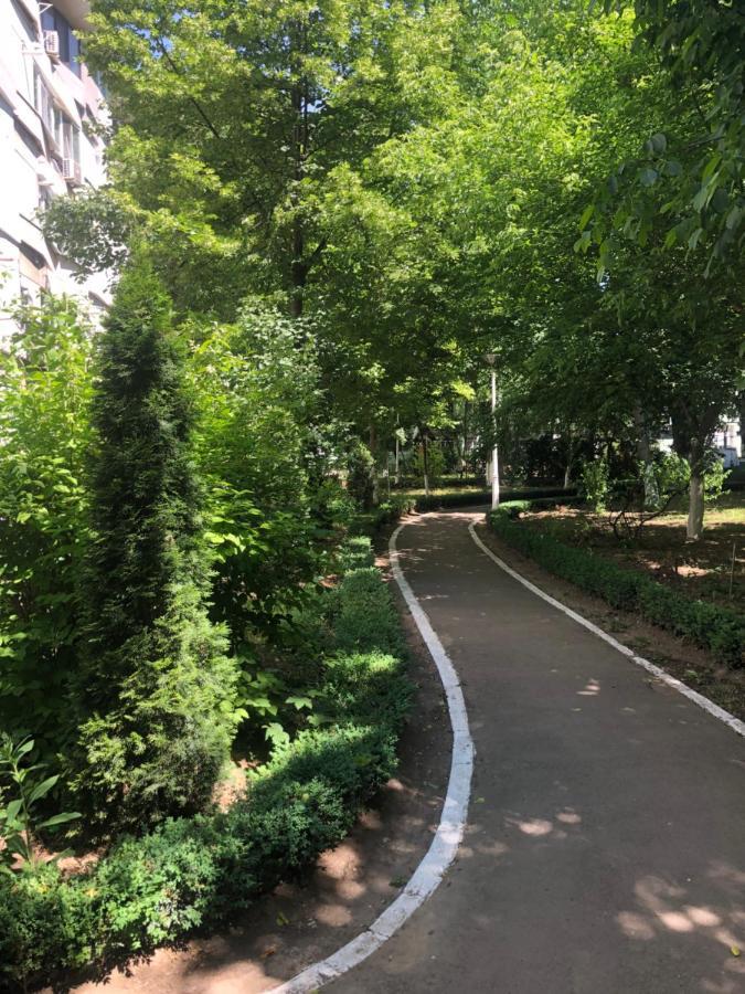 Laguna Apartament Braila Bagian luar foto